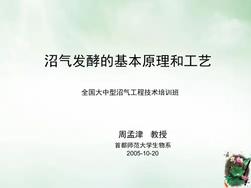 沼气发酵的基本原理和工艺培训课件(ppt52页)