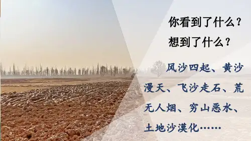 20 青山不老课件(共19张PPT)
