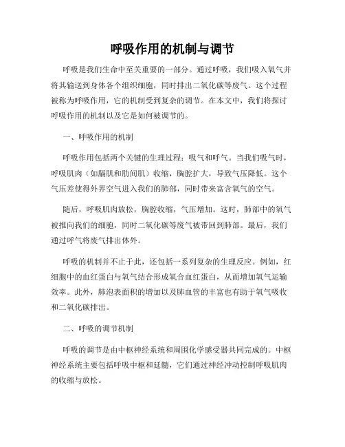 呼吸作用的机制与调节