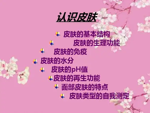 认识皮肤类型解剖皮肤细胞PPT课件