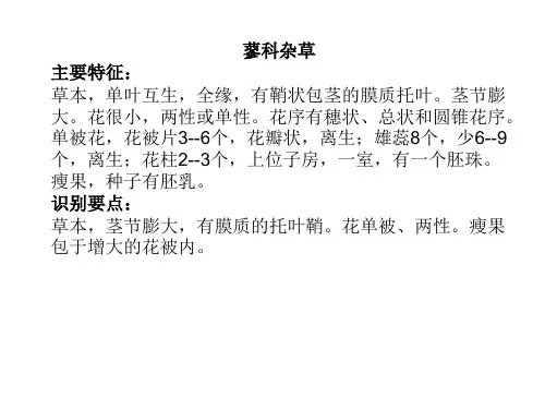 杂草学-杂草学-PPT课件