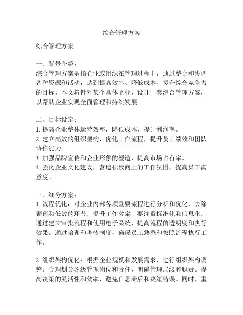 综合管理方案