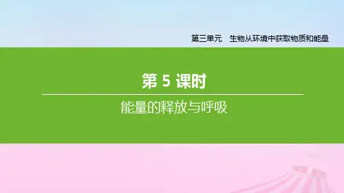 七年级生物上册第三单元生物从环境中获取物质和能量第05课时能量的释放与呼吸课件(新版)苏科版