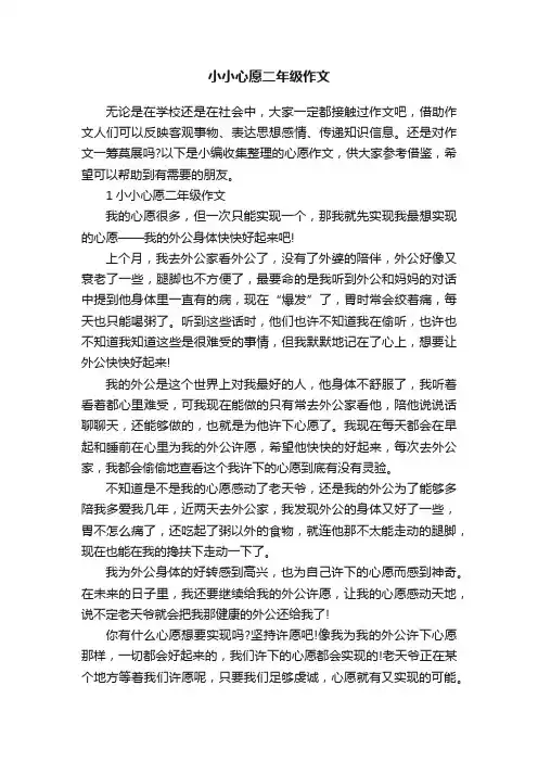 小小心愿二年级作文