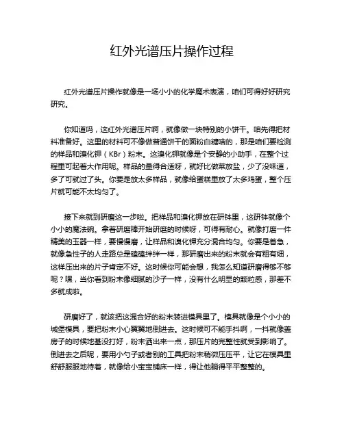 红外光谱压片操作过程