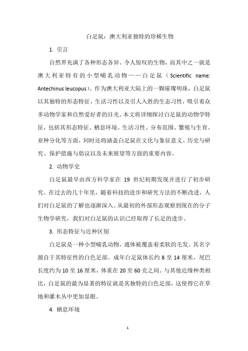 白足鼠：澳大利亚独特的珍稀生物