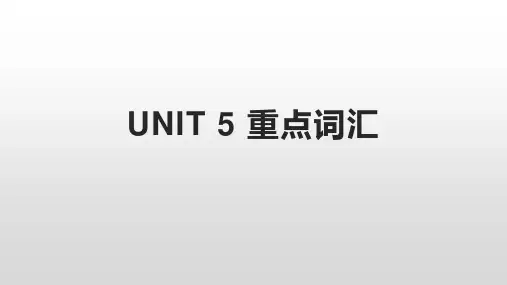 人教版必修第一册Unit5LanguagesAroundtheWorld重点词汇短语记忆课件