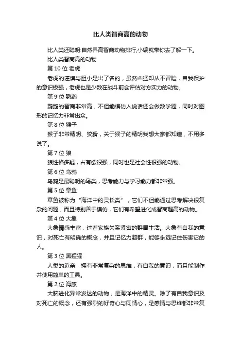 比人类智商高的动物