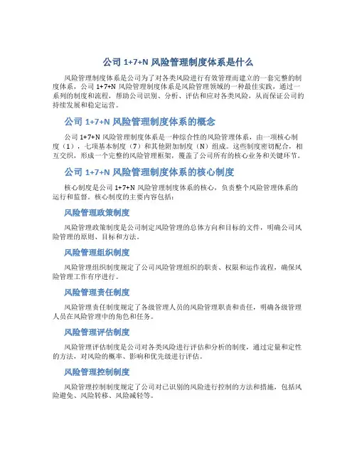 公司1+7+N风险管理制度体系是什么