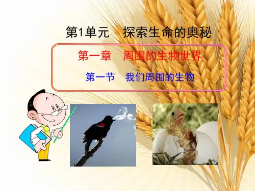 苏教版生物七年级上册1.1《我们周围的生物》 课件(共29张PPT)