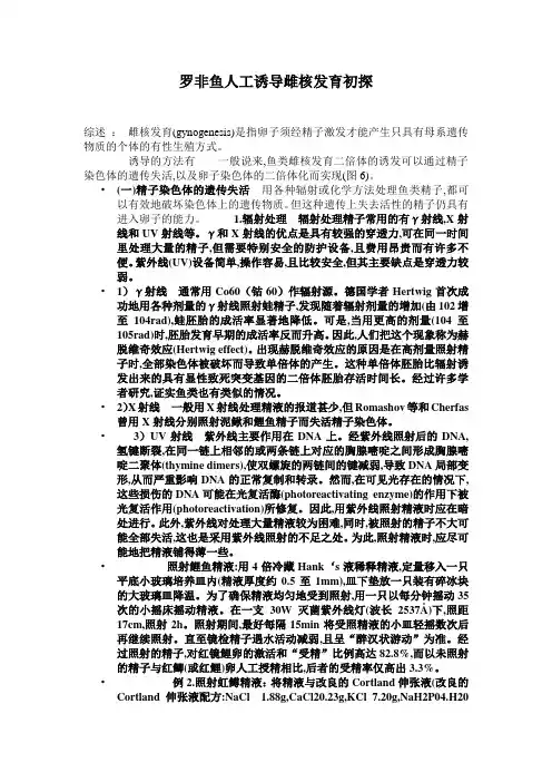 论文