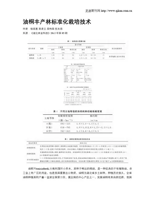 油桐丰产林标准化栽培技术