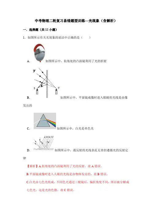 中考物理二轮复习易错题型训练—光现象(含解析)
