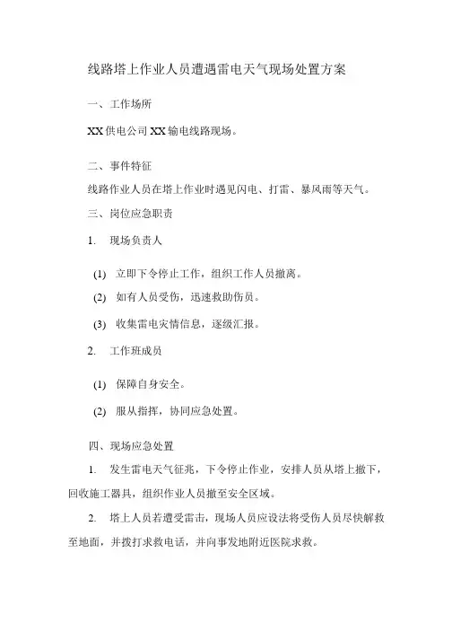 线路塔上作业人员遭遇雷电天气现场处置方案