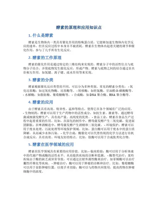 酵素的原理和应用知识点