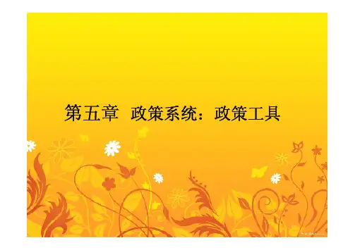 05第5章 政策系统：政策工具