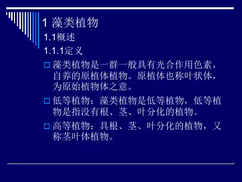 2藻类