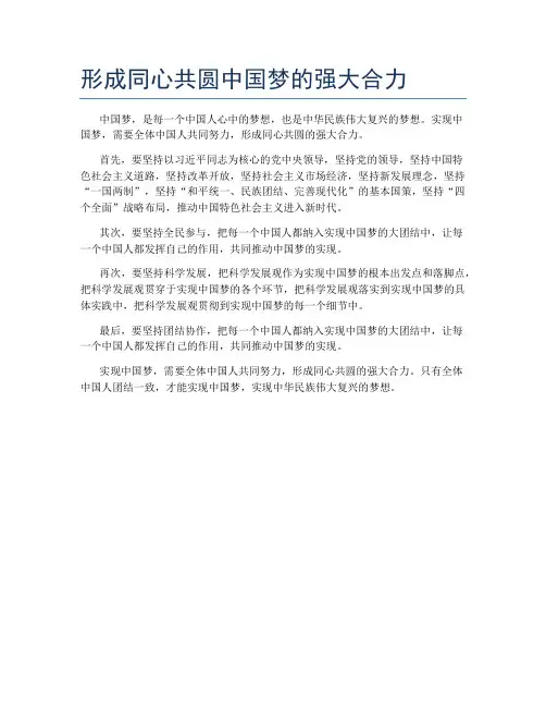 形成同心共圆中国梦的强大合力