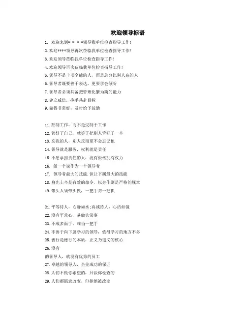 欢迎领导标语