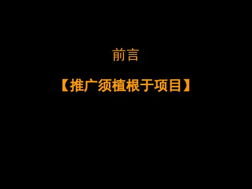 MO项目广告调性及形象期广告思路课件