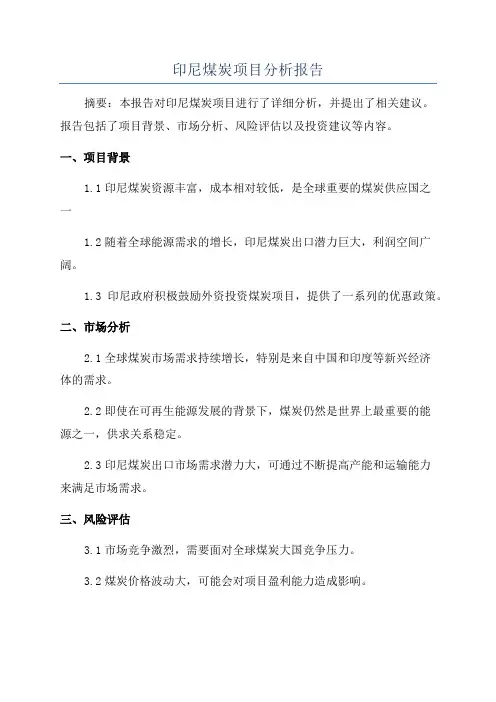 印尼煤炭项目分析报告