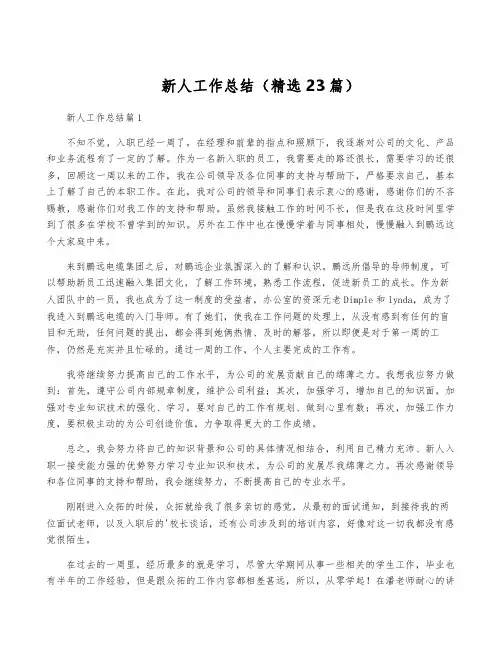 新人工作总结(精选23篇)