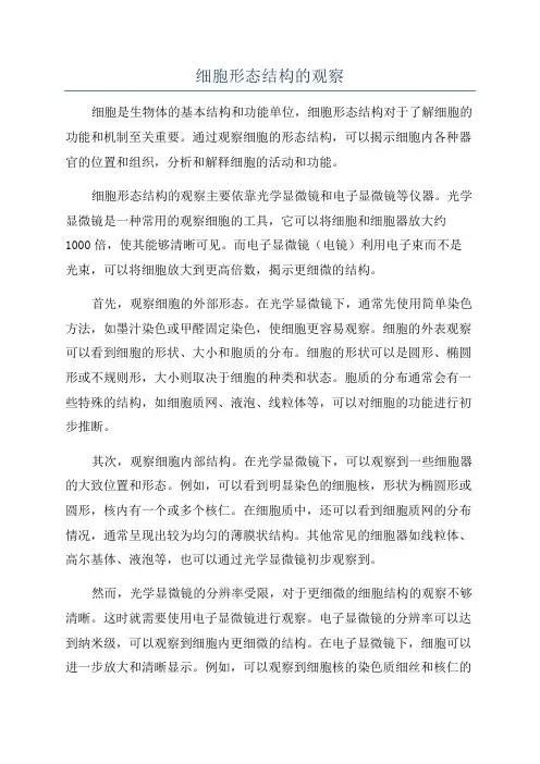 细胞形态结构的观察