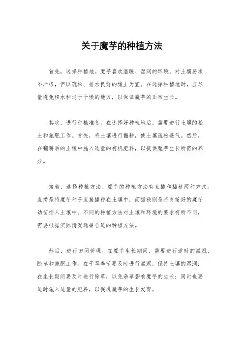 关于魔芋的种植方法