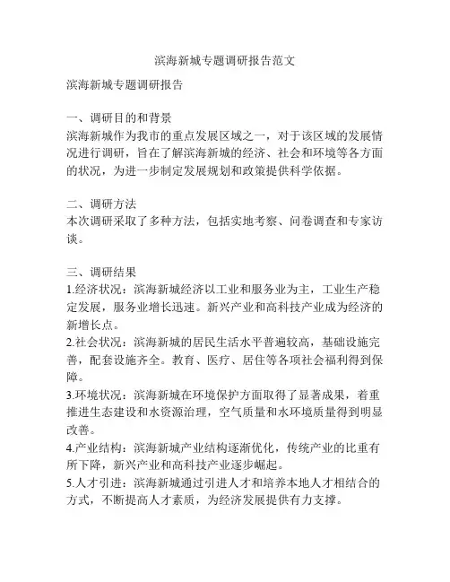 滨海新城专题调研报告范文