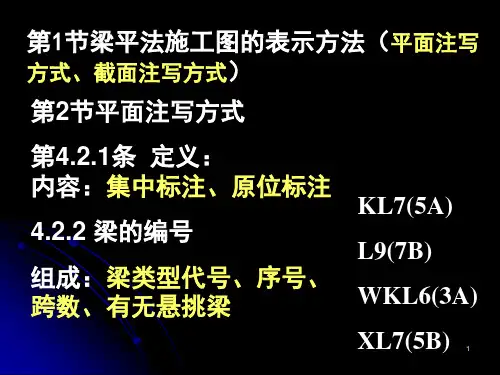 梁的平法施工图1