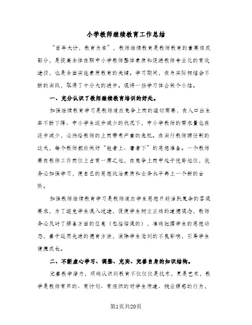 2024年小学教师继续教育工作总结(9篇)