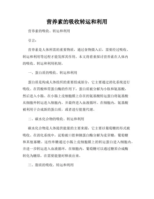 营养素的吸收转运和利用