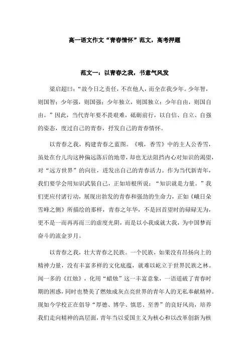 以青春情怀为话题的作文
