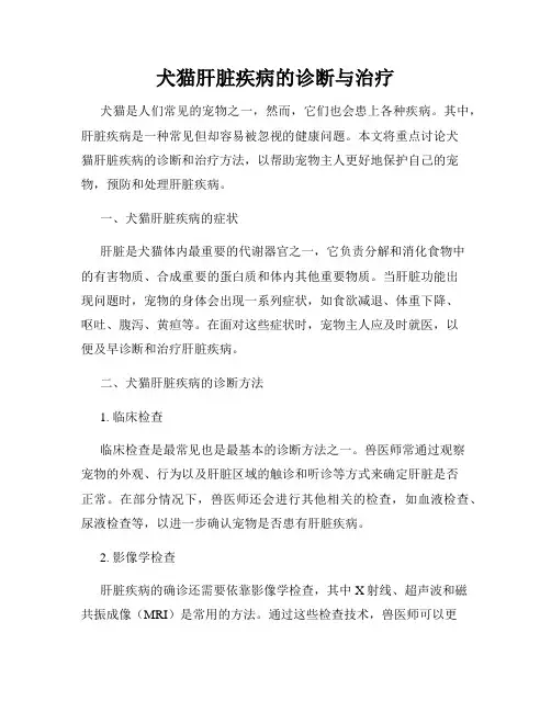 犬猫肝脏疾病的诊断与治疗