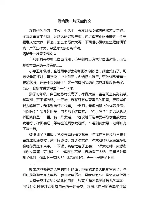 请给我一片天空作文