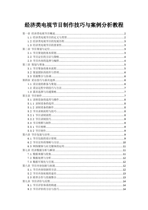 经济类电视节目制作技巧与案例分析教程