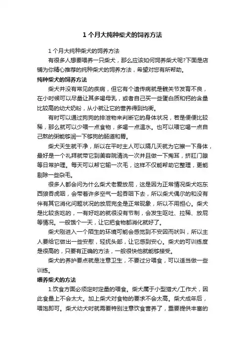1个月大纯种柴犬的饲养方法