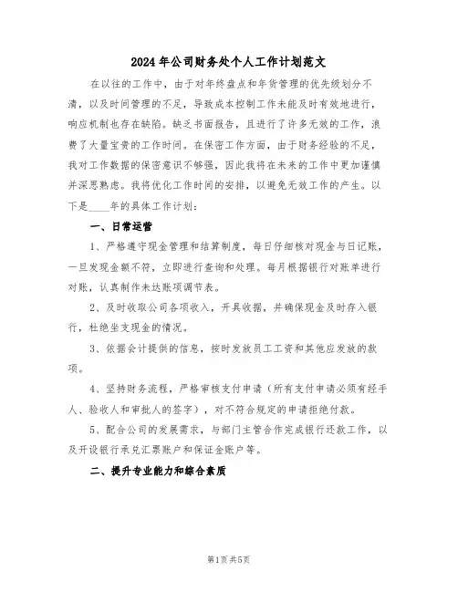 2024年公司财务处个人工作计划范文（三篇）