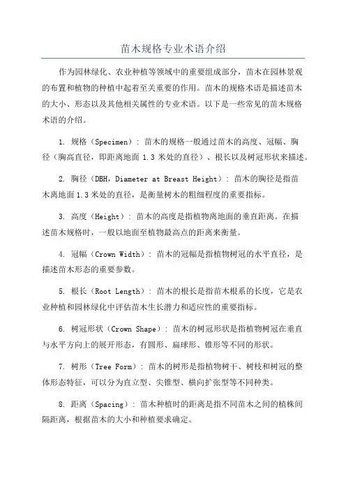 苗木规格专业术语介绍