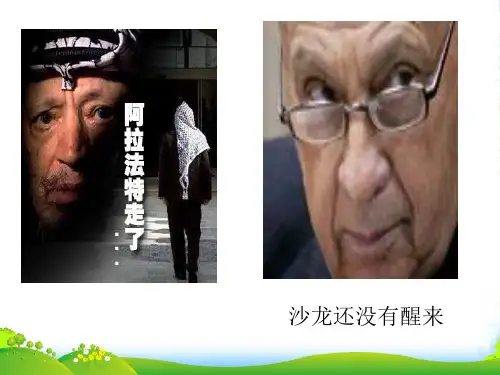 高中历史 专题五之《专题五 烽火连绵的局部战争》课件 人民必修3