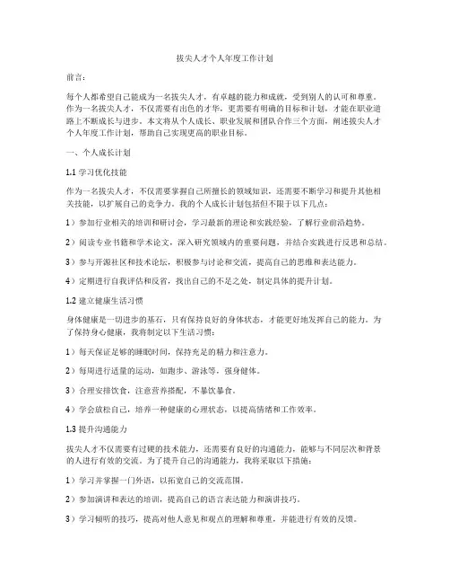 拔尖人才个人年度工作计划
