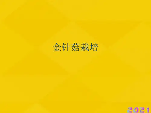 金针菇栽培优秀文档