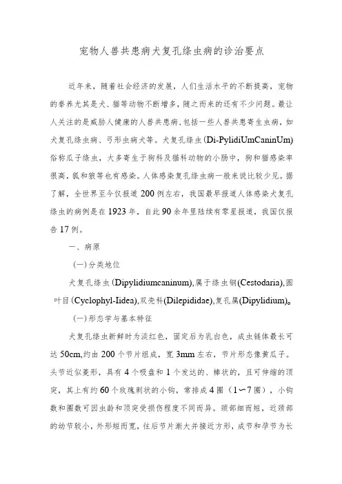 宠物人兽共患病犬复孔绦虫病的诊治要点