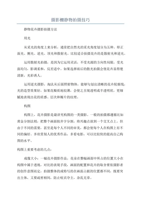 摄影棚静物拍摄技巧
