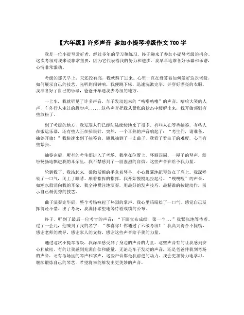 【六年级】许多声音 参加小提琴考级作文700字