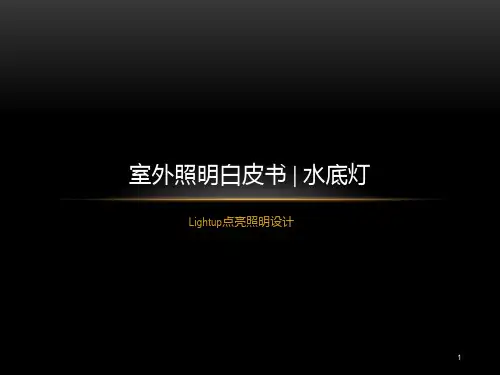 照明设计白皮书系列-水底灯PPT课件