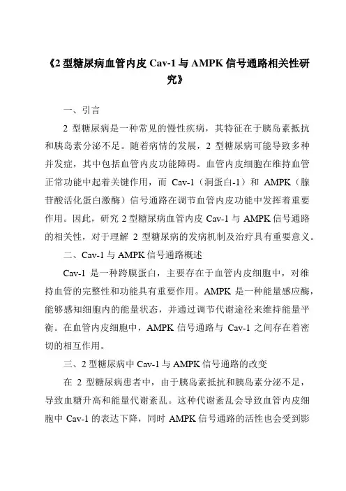 《2型糖尿病血管内皮Cav-1与AMPK信号通路相关性研究》