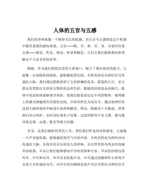 人体的五官与五感