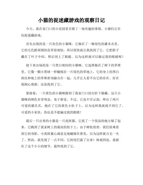小学三年级作文小猫的捉迷藏游戏的观察日记