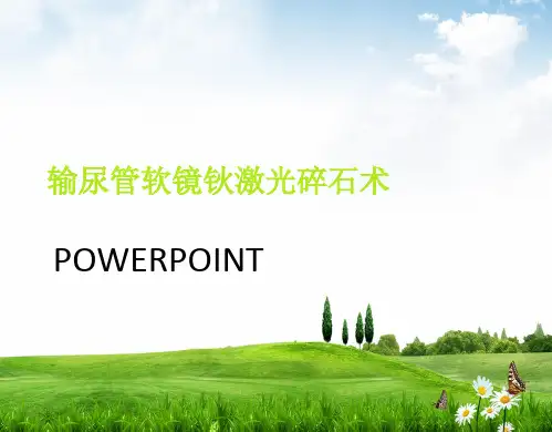 输尿管软镜碎石护理查房